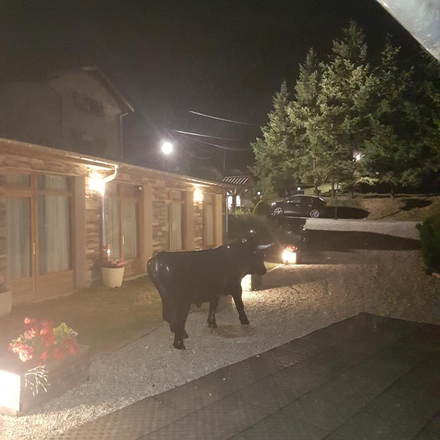 Gite De Prejeurin Echalas Экстерьер фото